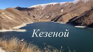 Чечня  Шали  Кезеной  2022