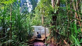 Camping hujan deras||membuat pondok dari plastik wrap di hutan rimba