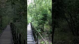 Дррога на Двухглавую Сопку н.п. Таганай #travel #туризм #forest #урал #природа #montains #таганай