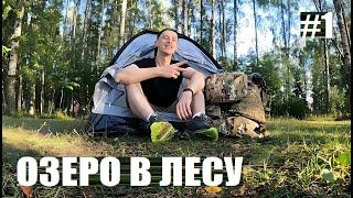 ТО САМОЕ КОМАРОВО / ЛЕСНОЕ ОЗЕРО / ПОХОД С ПАЛАТКОЙ (МИШКА ЕДЕТ ПО РОССИИ) ПОДПИШИСЬ В VK И ТЕЛЕГЕ