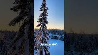 #russia #travel #tomastravel #россия #карелия #путешествия #зима #winter #frozen #wildlife