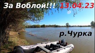 Рыбалка, Астрахань 2023/За воблой, по большой воде/