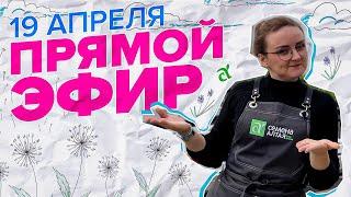 ПРЯМАЯ ТРАНСЛЯЦИЯ. 19.04.23