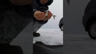 Рыбалка 