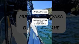 Это Камчатка! Морская прогулка на яхте