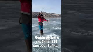Подледная рыбалка на омуля на озере Байкал. 2023. С глубины 135 метров.