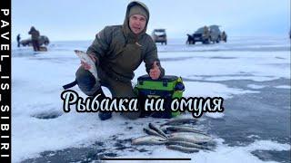 РЫБА СОШЛА С УМА! ОБУРИЛИ! ПОПАЛИ НА ДИКИЙ ЖОР! Рыбалка на Байкале.