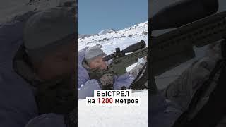 РАССЧИТАЛ выстрел В ГОРАХ на дистанцию 1,2 км / Sniper Calculates Perfect Shot in Mountains at 1200m