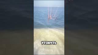 Самое соленое озеро Баскунчак #баскунчак #путешествие #соленоеозеро #путешествуемпороссии