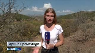 Пожароопасный сезон в Крыму: профилактика и рекультивация