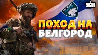 Авральный поход на Белгород: РДК и Легион не оставили Путину шанса! Выборы сорваны