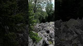 Каменная река в парке Таганай #travel #туризм #forest #travelid #урал #montains #поход #природа #пвд