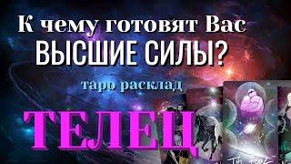 ТЕЛЕЦ 