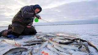 НА КРАЙ СВЕТА на ПЕРВЫЙ ЛЁД!  Начало зимней рыбалки в ЗАПОЛЯРЬЕ сезона 2022-2023