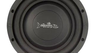 Обзор сабвуфера DL Audio Barracuda 8 Flat #vik_sound #dl_audio_official #автозвук #subwoofer