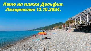 Лето на пляже "Дельфин" ,Лазаревское 2024.