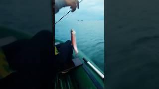 Рыбалка на омуля