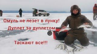 Килограммовые омули клюют дуплетами!!! попали на жор омуля на Байкале