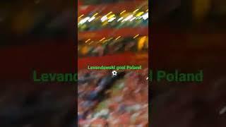 Narodny stadion, Warschawa Poland. Goal Lewandowski