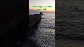 Сочи море 2.11.2024 купаются