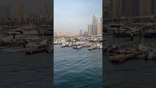 Плавание вдоль Дубай Марине ❤️‍