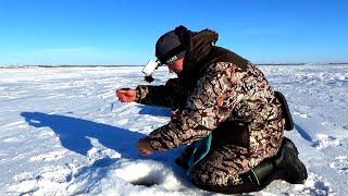 23 МЕТРА! НА ТАКОЙ ГЛУБИНЕ ОНИ ЖИВУТ Зимняя рыбалка на озере