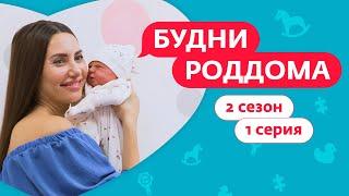 БУДНИ РОДДОМА | ПРЕМЬЕРА | 2 СЕЗОН, 1 ВЫПУСК