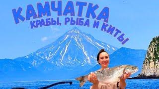 КАМЧАТКА. Морская рыбалка и встреча с китом!