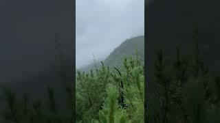 Дождливый день, поход к горам Восточной Хандыги