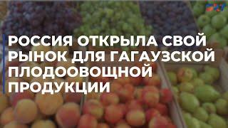 Россия открыла свой рынок для гагаузской плодоовощной продукции
