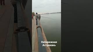 Рыбалка на набережной в Астрахани