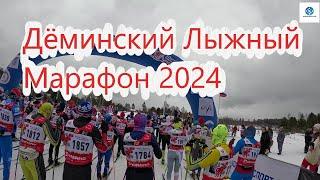 Дёминский Лыжный Марафон 2024 !!! #дёминскиймарафон #дёмино #лыжныегонки #лыжныйспорт #марафон