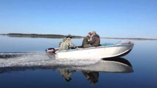 Рыбалка на таёжном озере Тенис Новосибирская область Васюганские болота