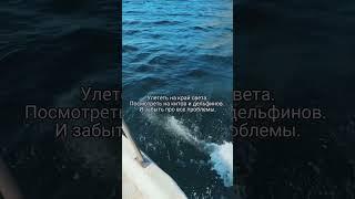 Путешествия к китам на севере России #short #shorts #путешествия #киты #россия