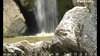 Звуки: водопада. шум воды. Агурские водопады (Сочи)