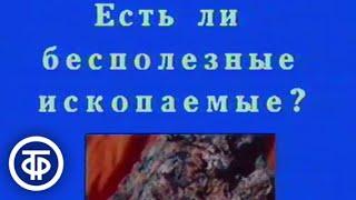 География. 8 класс. Полезные ископаемые СССР (1988)