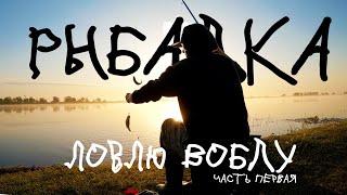 Рыбалка в Астрахани на воблу (часть 1) / паводок 2023 /Дружище-сазанище /