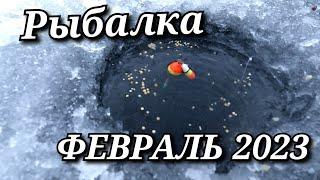 Рыбалка на поплавок 15 февраля 2023.Нашёл где стоит рыба..