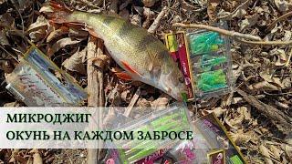 Окунь на каждом забросе Ловя на микроджиг в Астраханской области