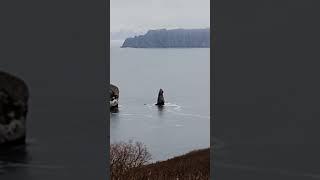 Полминутная рефлексия от Юры. Жаль, что нельзя вытаскивать фотки из памяти! #камчатка #nature #дума