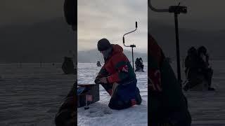 Соревнования по ловле на мормышку со льда / Озеро Байкал
