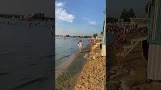 Анапа / Гнилые водоросли / Ужасное море / 04.07.2024