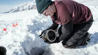 На леднике в Канаде обнаружили камеры исследователя, которые он оставил в 1937 году.