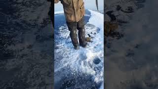 Омуль. Байкальская рыбалка 2023. 150м глубины.