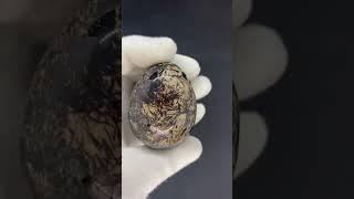 Астрофиллит, яйцо. Хибины, Кольский полуостров, Россия