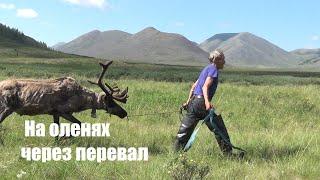 Путешествие в горы Якутии. Часть 2.  На оленях через перевал.