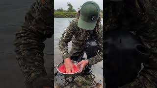 «Пятиминуточка» Камчатка Самая вкусная икра из рыбы! #рыбалка #икра #fishing  #камчатка #kamchatka