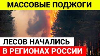 Россия в ОГНЕ! Школа и минимум 20 жилых домов горят в Курганской области