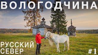 Русский Север, Вологодская область. Напали лошади, путешествие в Верховажье