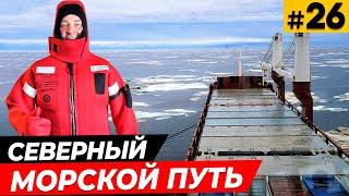 Северный морской путь  Круиз по Северному ледовитому океану  До свидания Чукотка  #26